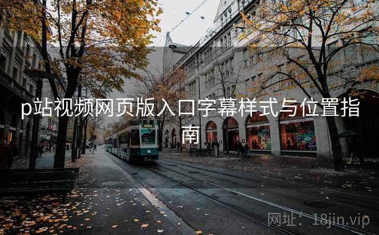 p站视频网页版入口字幕样式与位置指南  第1张