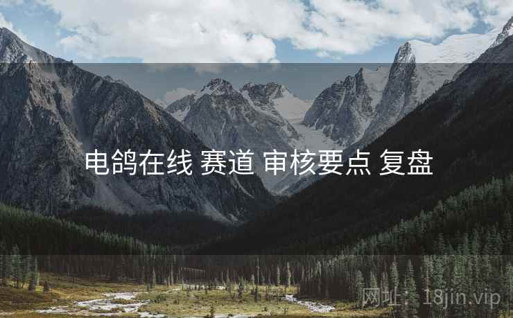 电鸽在线 赛道 审核要点 复盘  第1张