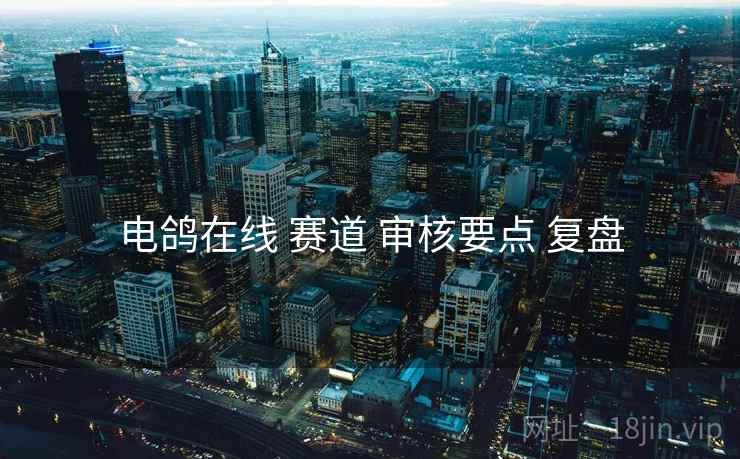 电鸽在线 赛道 审核要点 复盘  第2张