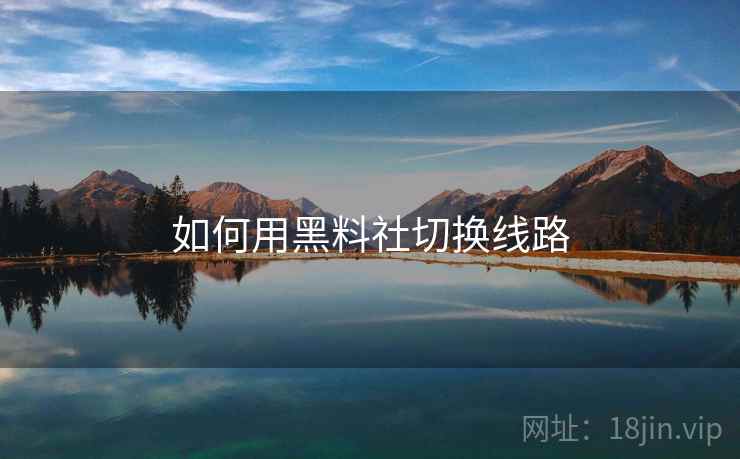 如何用黑料社切换线路  第2张