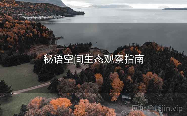 秘语空间生态观察指南  第1张