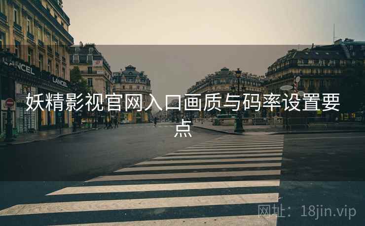 妖精影视官网入口画质与码率设置要点  第2张