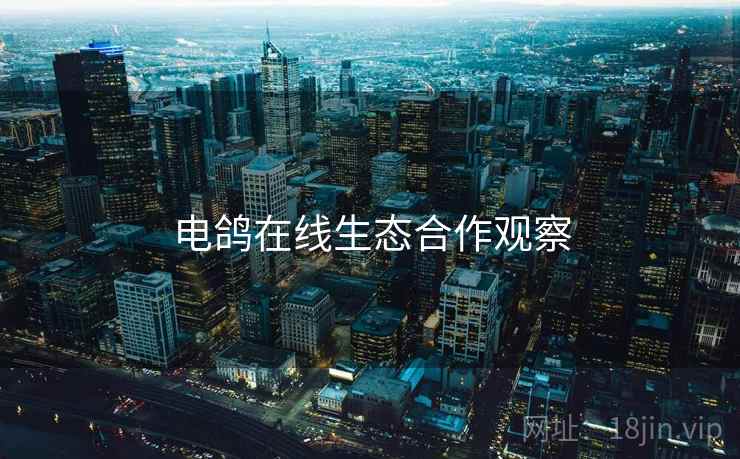 电鸽在线生态合作观察  第2张