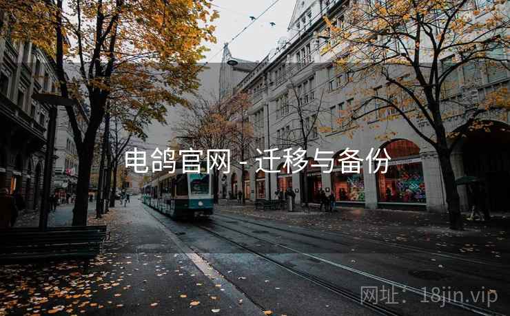 电鸽官网 - 迁移与备份  第1张