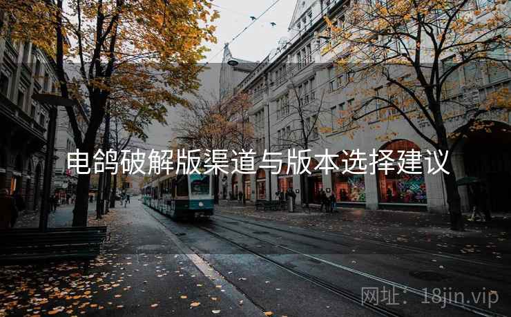 电鸽破解版渠道与版本选择建议  第2张