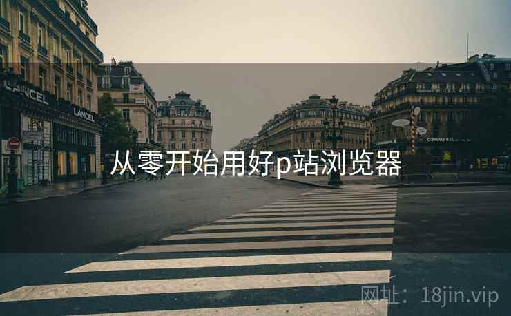从零开始用好p站浏览器  第1张