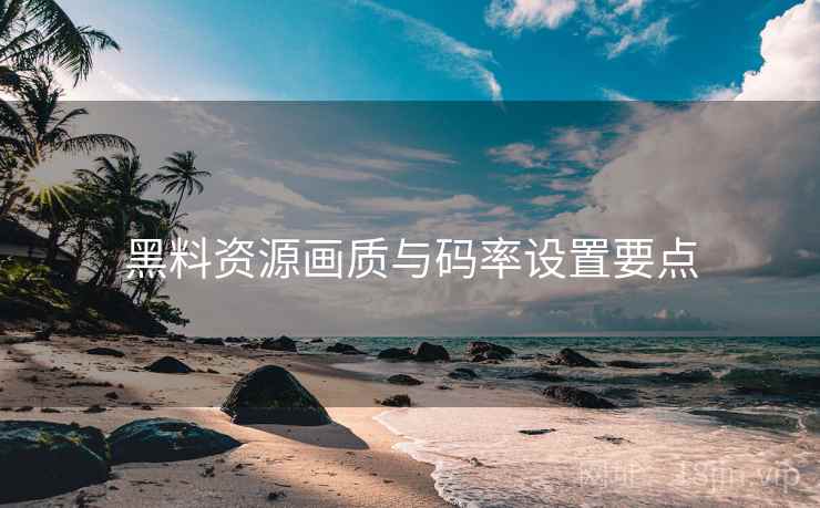 黑料资源画质与码率设置要点  第1张