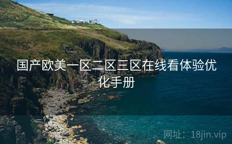 国产欧美一区二区三区在线看体验优化手册  第1张