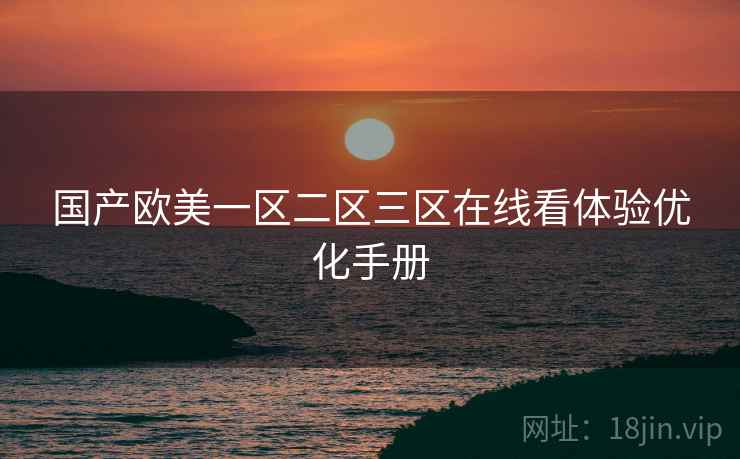 国产欧美一区二区三区在线看体验优化手册  第2张