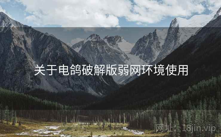 关于电鸽破解版弱网环境使用  第1张