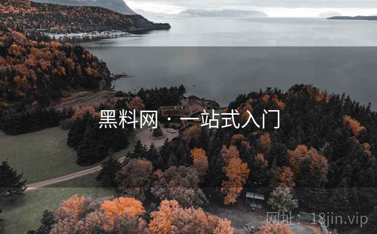 黑料网 · 一站式入门  第2张