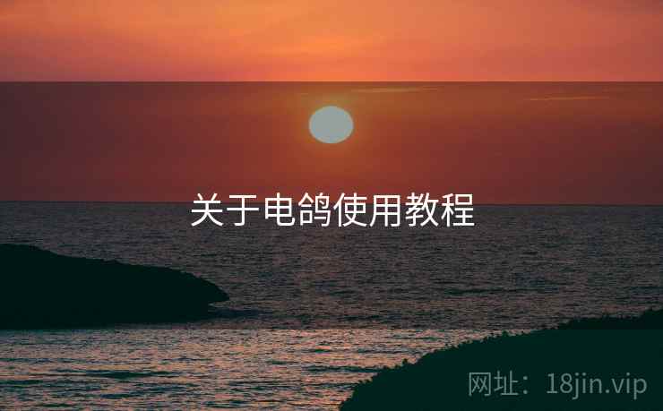 关于电鸽使用教程  第1张