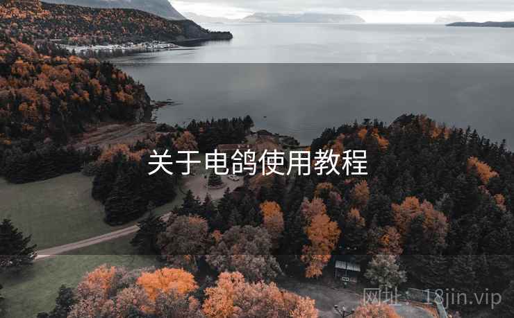关于电鸽使用教程  第2张