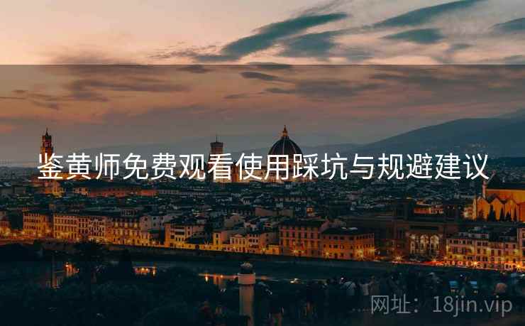 鉴黄师免费观看使用踩坑与规避建议  第2张