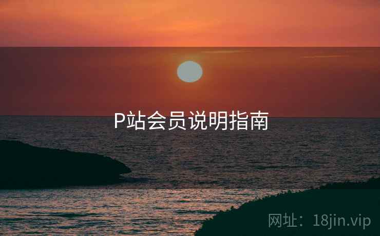 P站会员说明指南  第1张