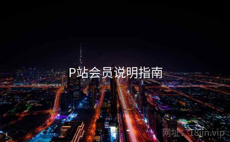 P站会员说明指南  第2张