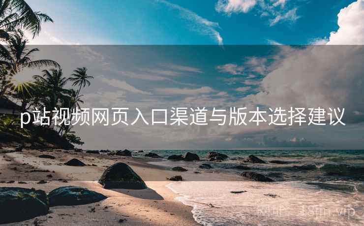 p站视频网页入口渠道与版本选择建议  第1张