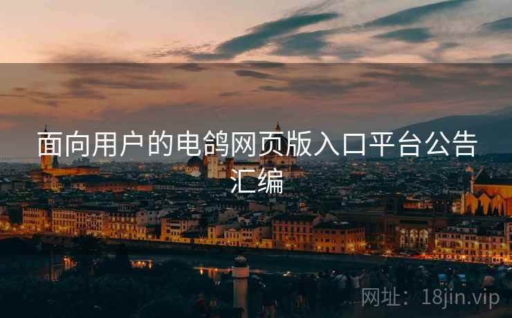 面向用户的电鸽网页版入口平台公告汇编  第2张