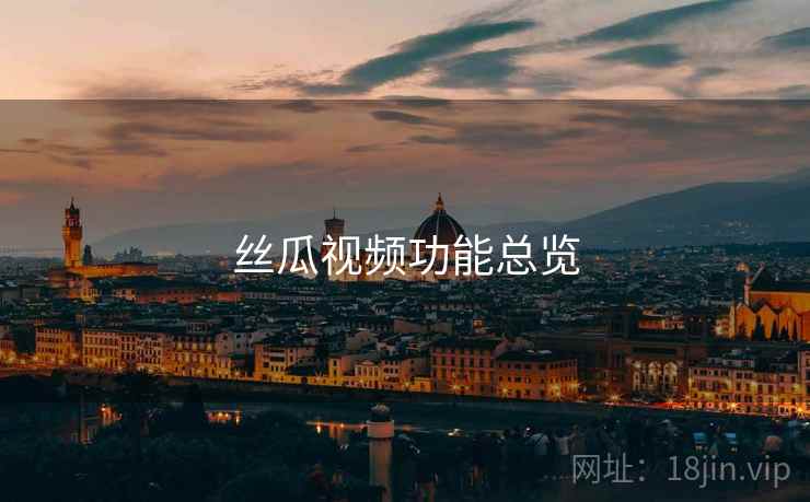 丝瓜视频功能总览  第2张