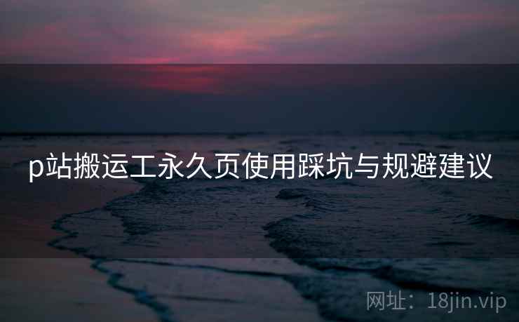 p站搬运工永久页使用踩坑与规避建议  第2张