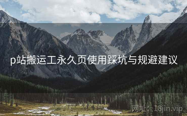 p站搬运工永久页使用踩坑与规避建议  第1张