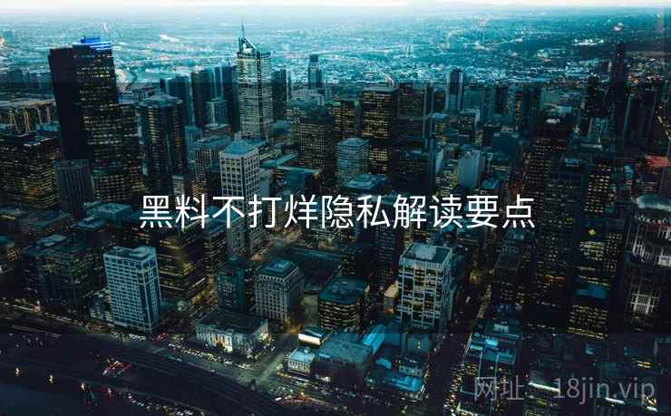 黑料不打烊隐私解读要点  第1张