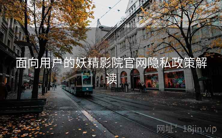 面向用户的妖精影院官网隐私政策解读  第1张