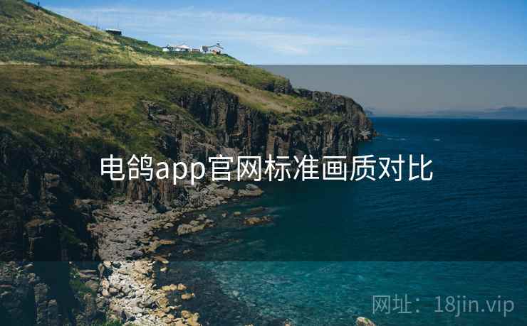 电鸽app官网标准画质对比  第2张