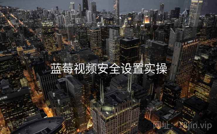 蓝莓视频安全设置实操  第1张