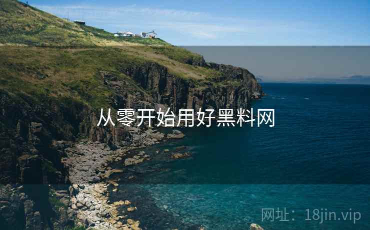 从零开始用好黑料网